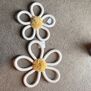 Daisy wall art